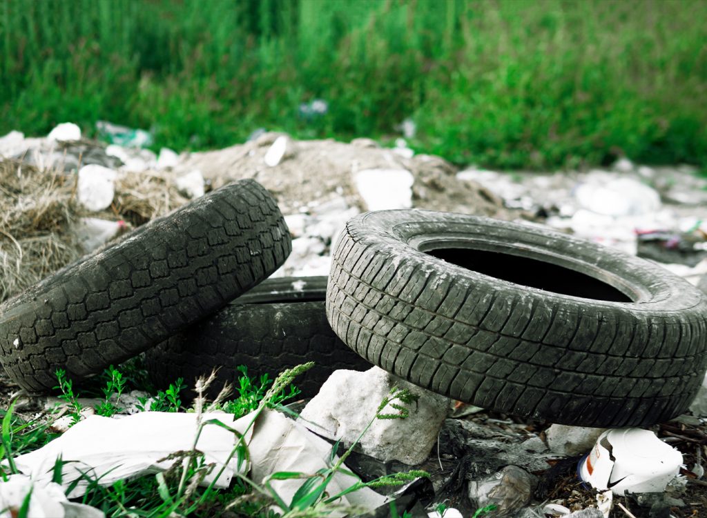 Educación y conciencia medioambiental